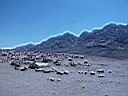 Sinai 5